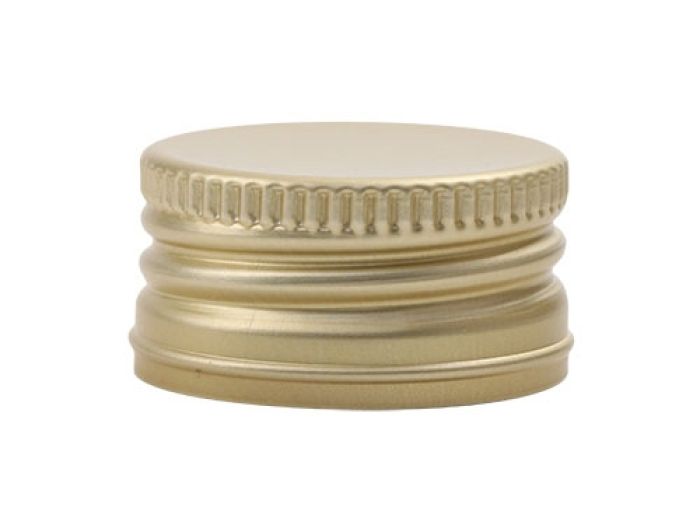 V2437 Sluiting goud