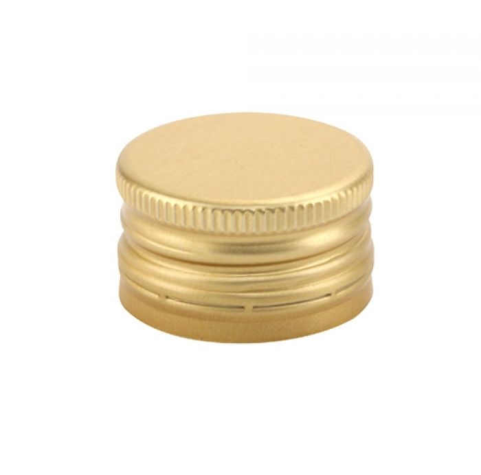 V334 Sluiting goud