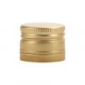V2246 Sluiting goud