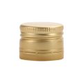 V2246 Sluiting goud