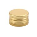V334 Sluiting goud