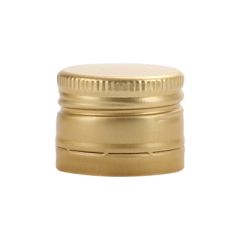 V2246 Sluiting goud