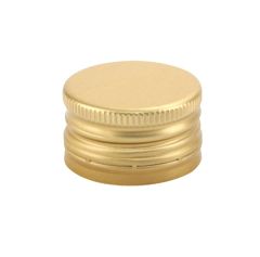 V334 Sluiting goud