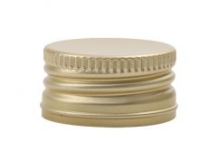 V2437 Sluiting goud